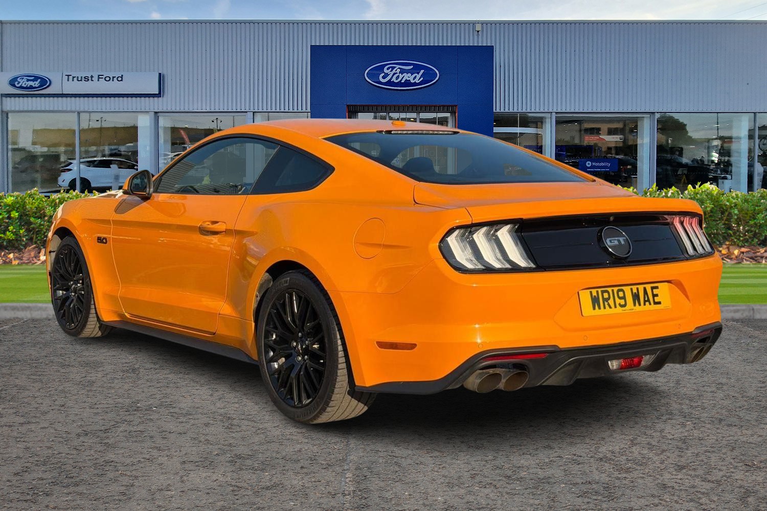 Ford MUSTANG Photo 1