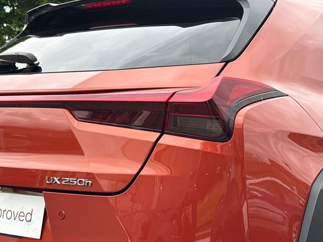 LEXUS Ux Photo 18