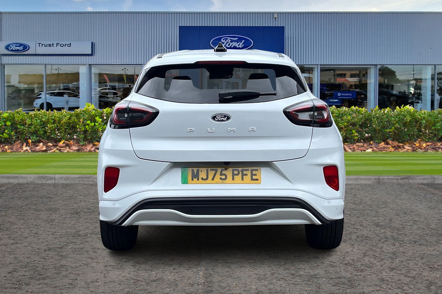 Ford Puma Photo 6