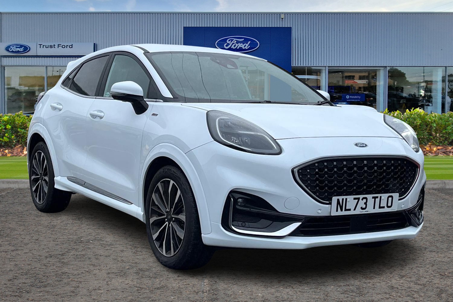Ford PUMA Photo 0
