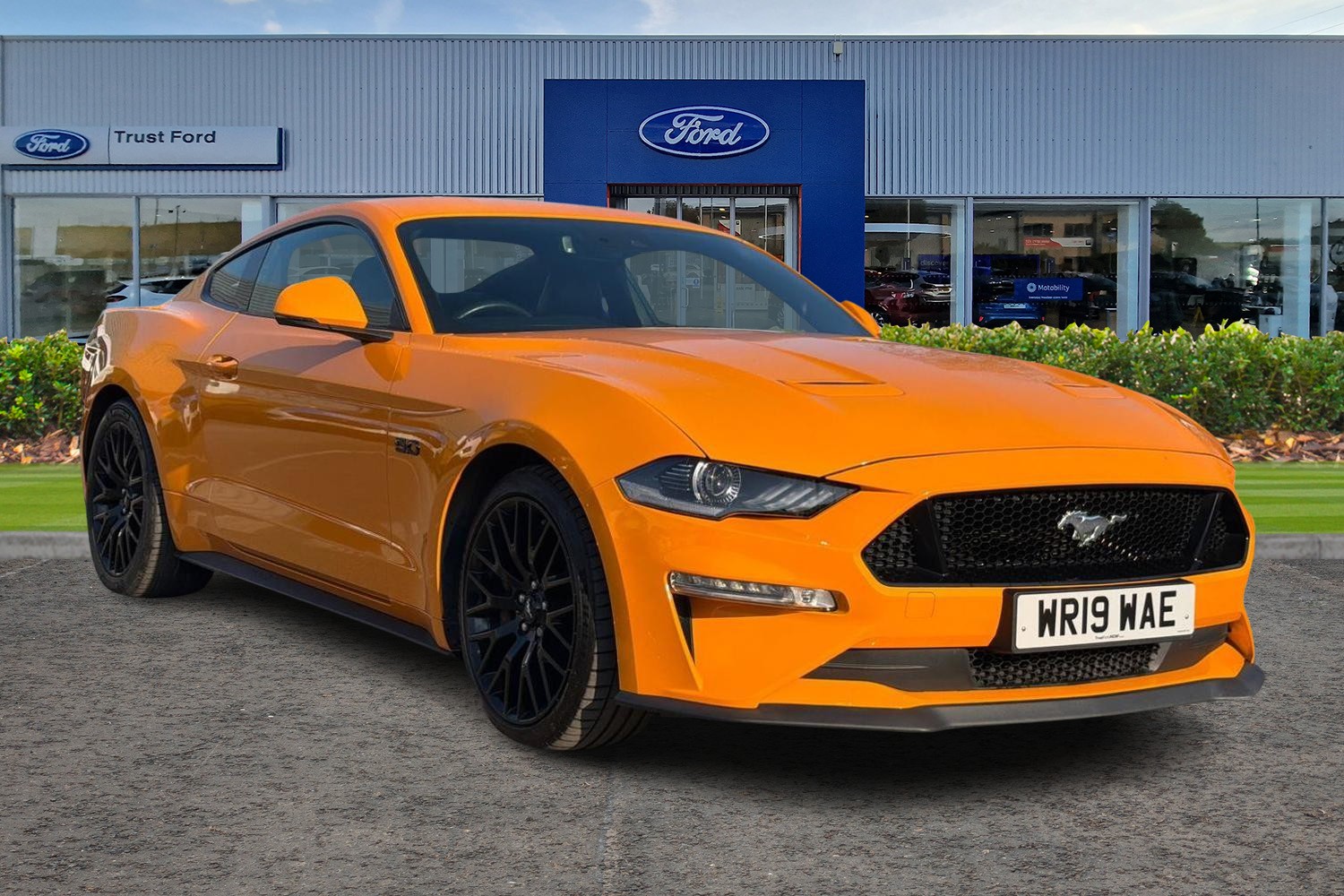 Ford MUSTANG Photo 0