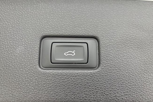 AUDI Q8 Photo 23