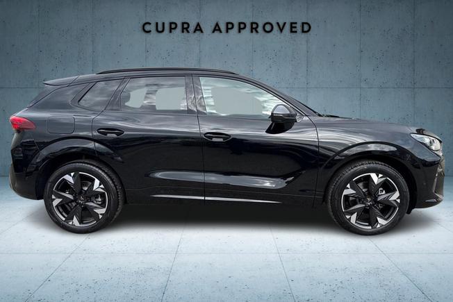 CUPRA TERRAMAR Photo 4