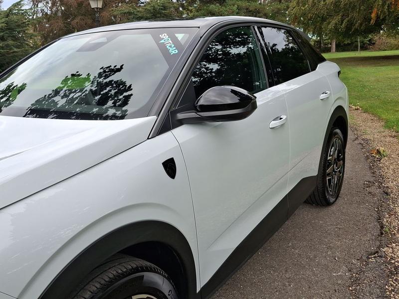Used Peugeot 3008 KT75VWA 39
