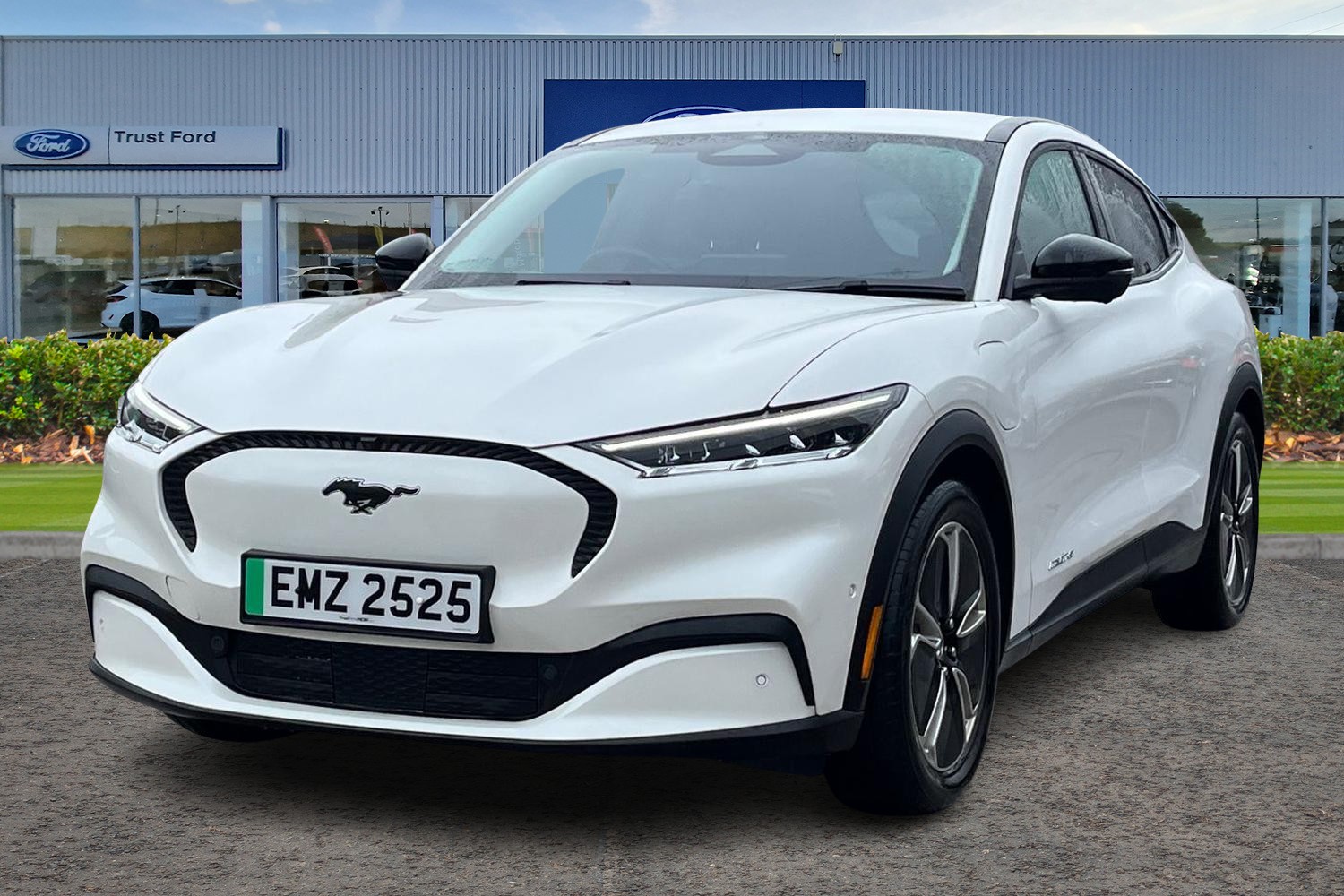 Ford MUSTANG MACH-E Photo 4