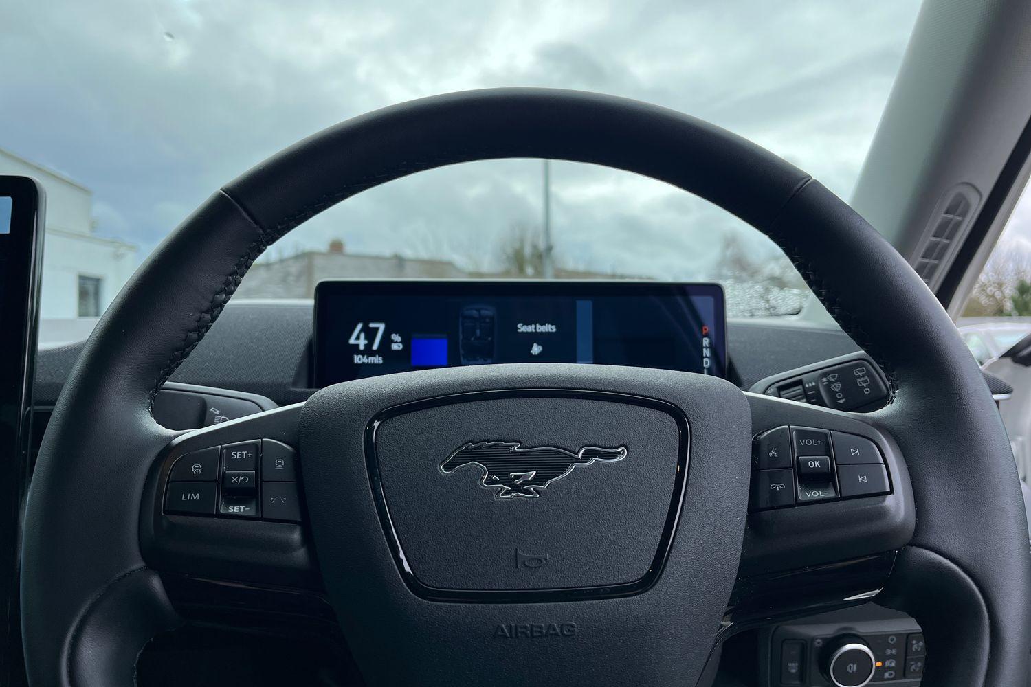 Ford MUSTANG MACH-E Photo 11