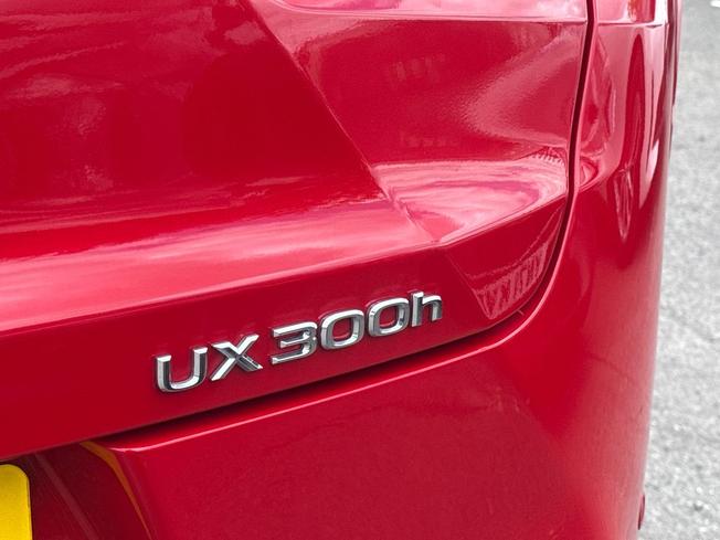 LEXUS Ux Photo 40