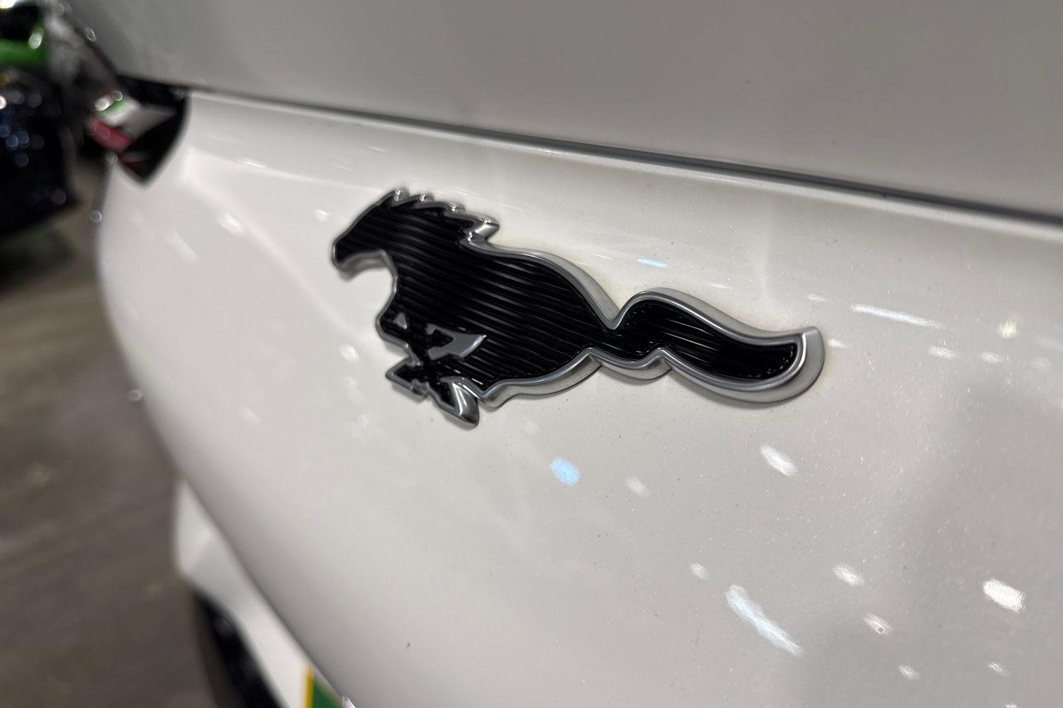 Ford MUSTANG MACH-E Photo 42