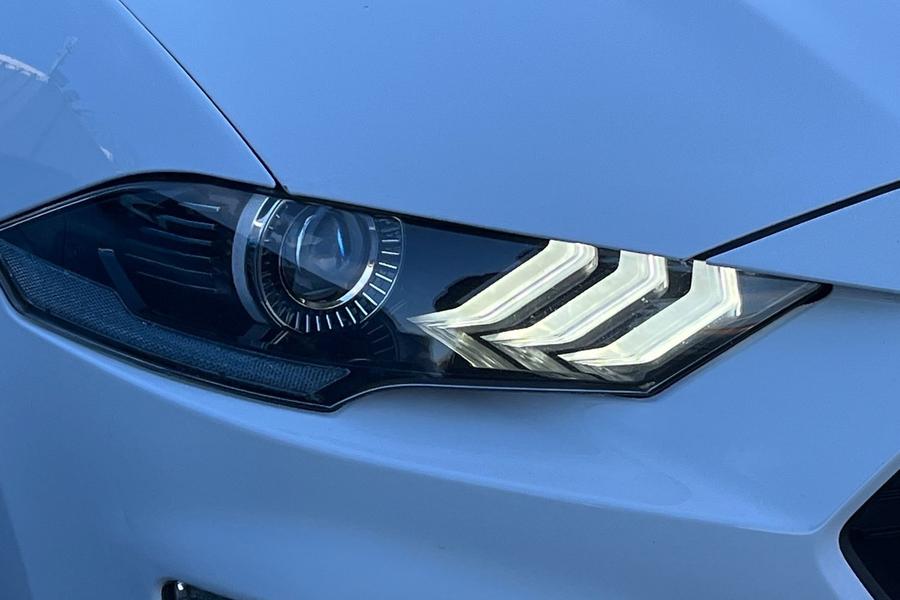 Ford Mustang Photo autoimg-cea2f5d0715e5c8b614bc81b4699b3c9cf8e8e82.jpg