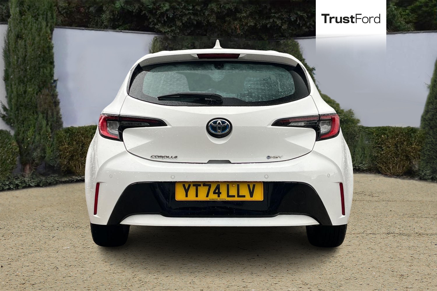 Toyota Corolla Photo 6