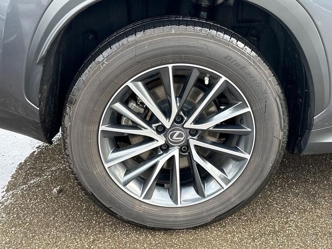 LEXUS Nx Photo 5