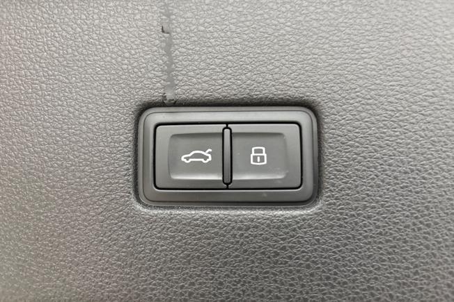 AUDI Q8 Photo 31