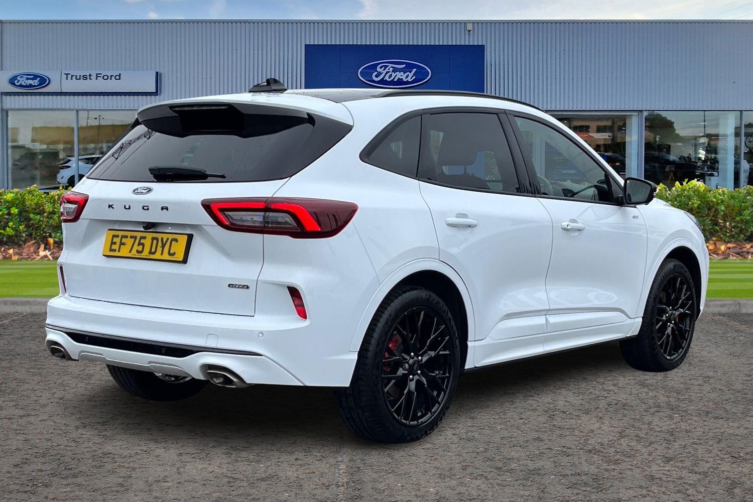 Ford Kuga Photo 3