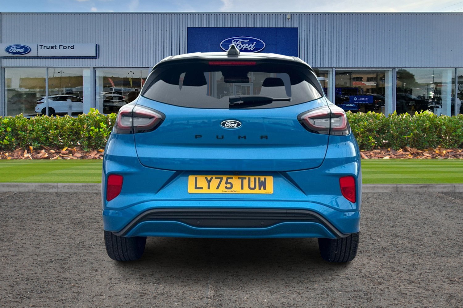 Ford PUMA Photo 6