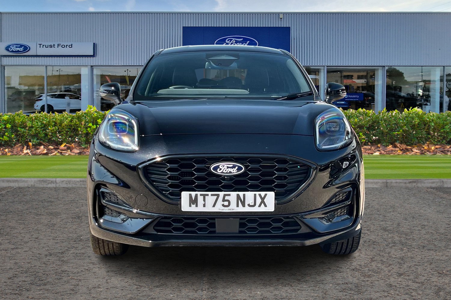 Ford Puma Photo 5