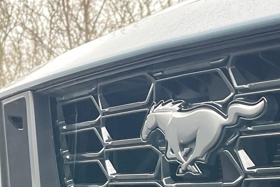 Used Ford MUSTANG YE74ZFZ 39