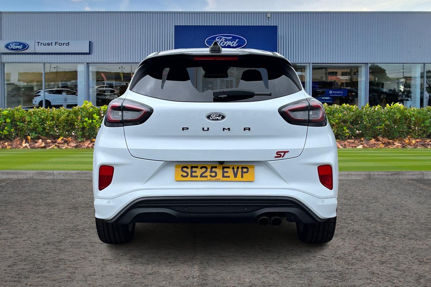 Ford Puma Photo 6