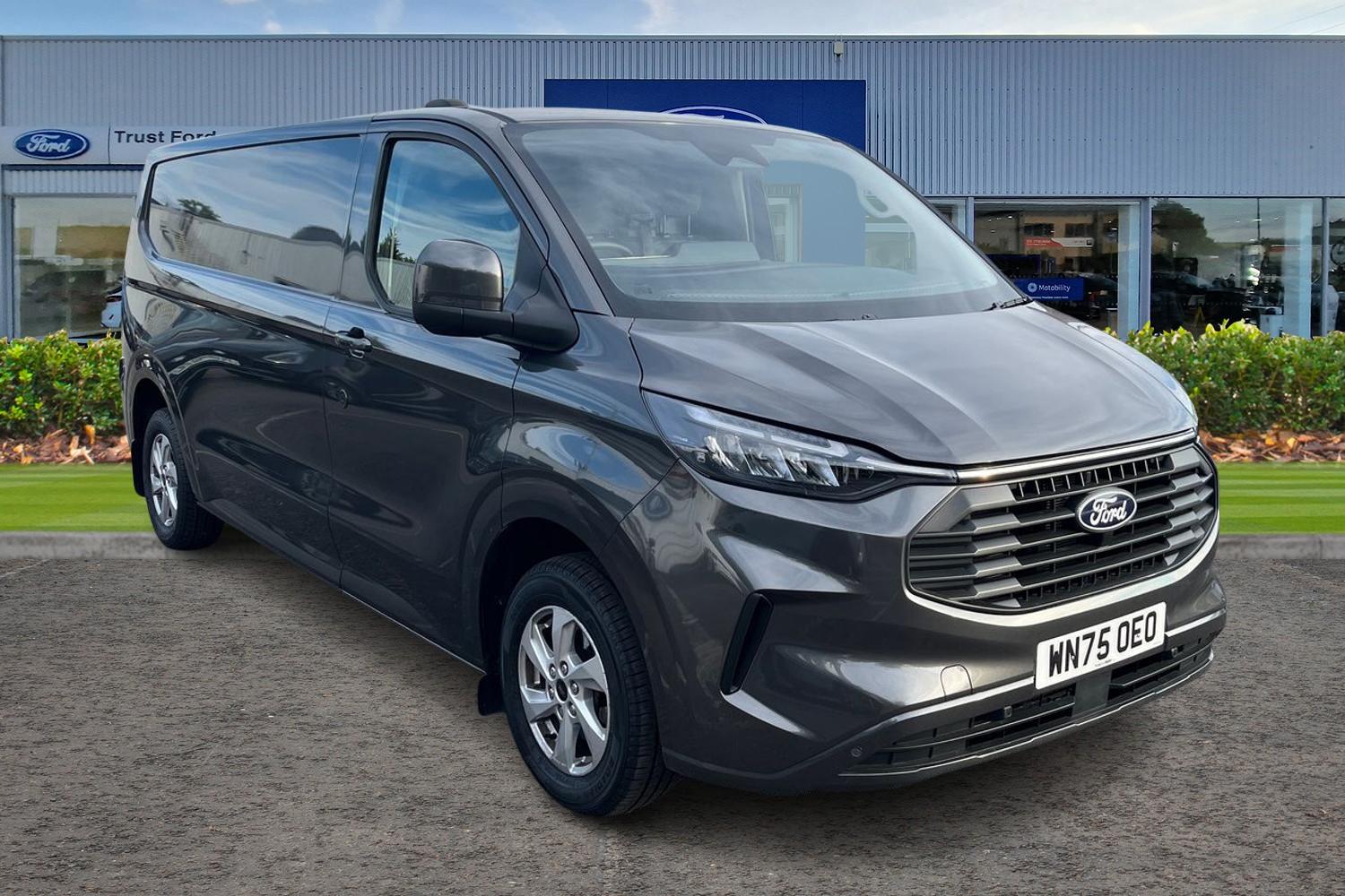 Ford TRANSIT CUSTOM Photo 0