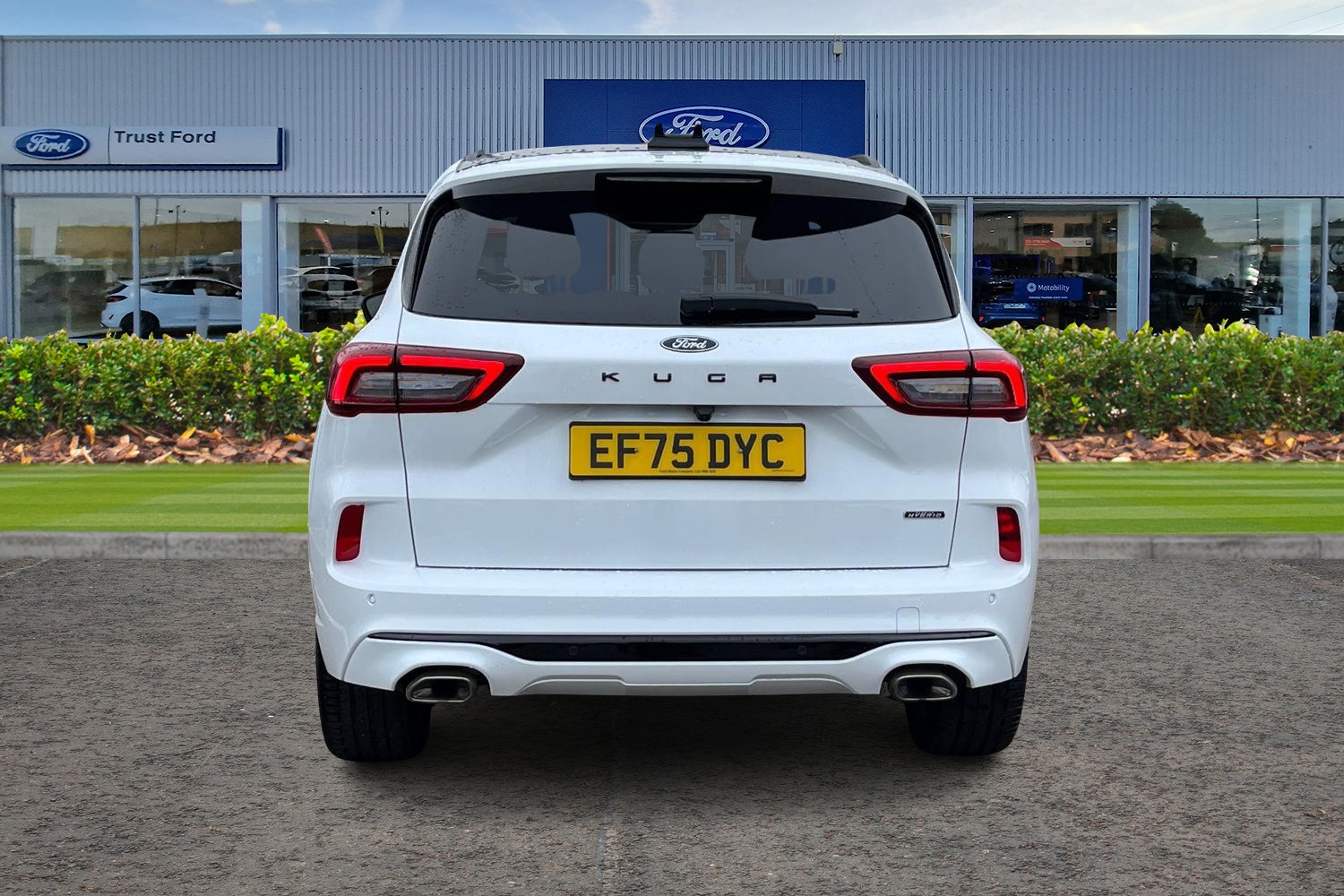 Ford Kuga Photo 6