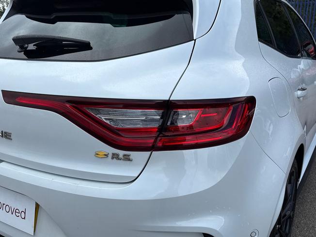 Renault Megane R.S. Photo 18
