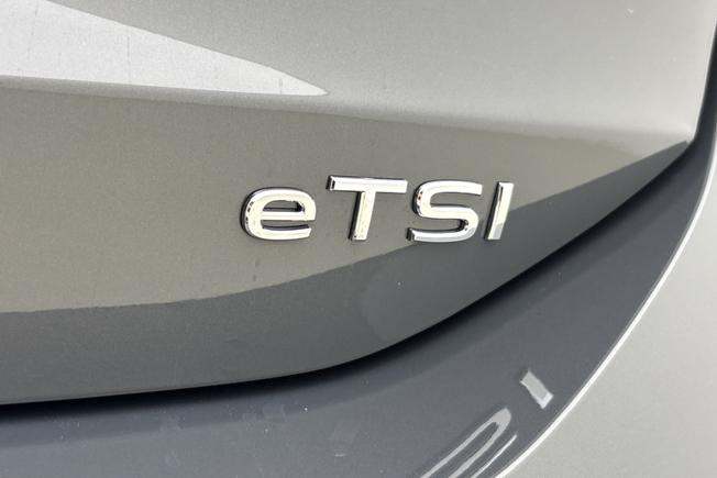 VOLKSWAGEN Tiguan Photo 21