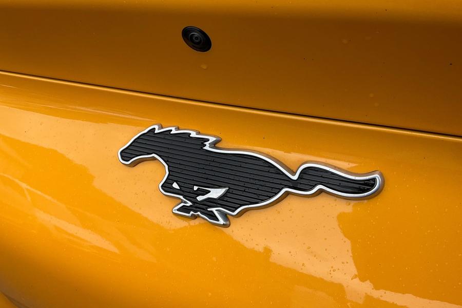 Ford MUSTANG MACH-E Photo autoimg-e151f9f552822ee147d3c49ed867968646e85ba1.jpg