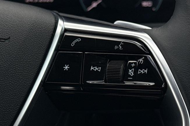 Audi Q8 Photo 17