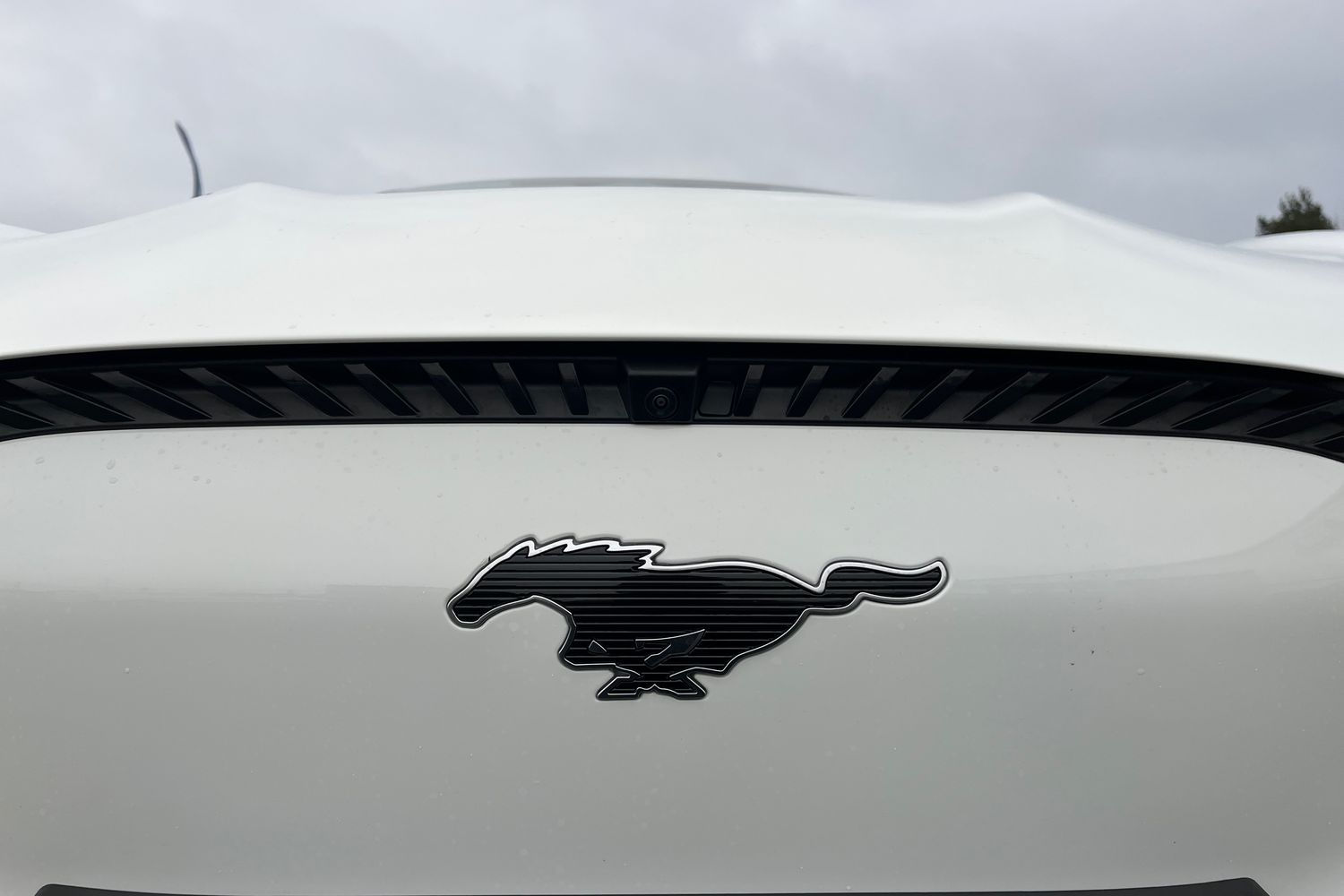 Ford Mustang Mach-E Photo 23