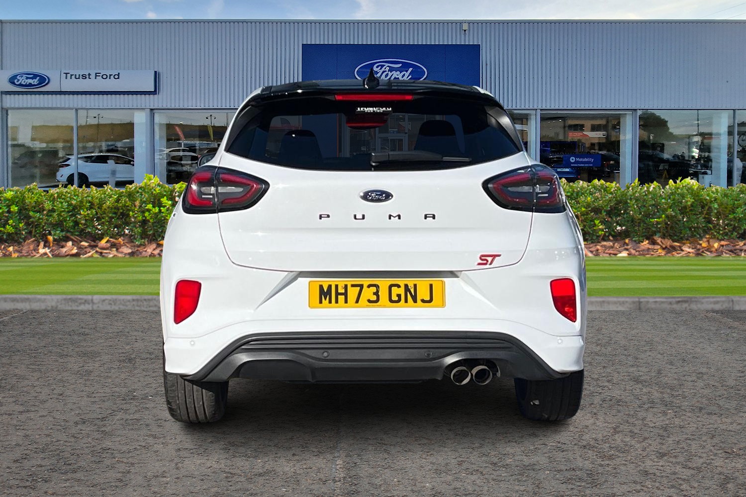 Ford Puma Photo 6