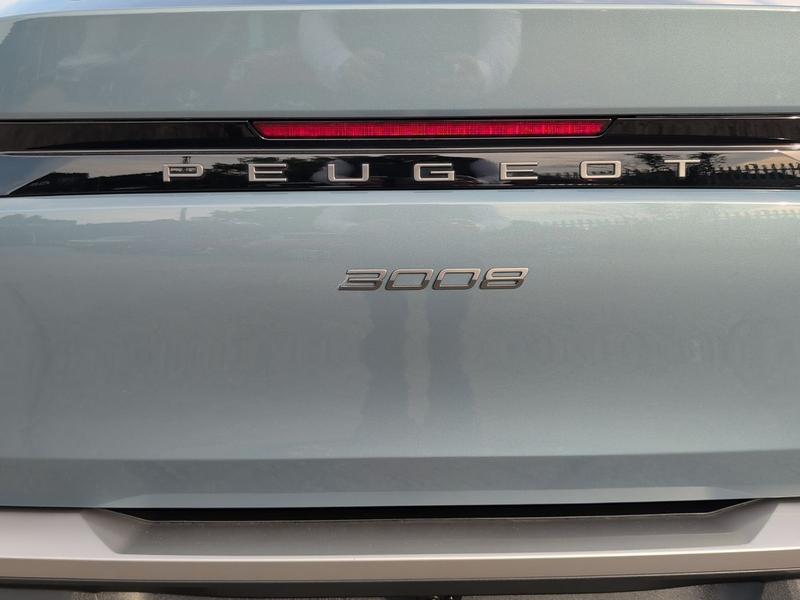 Used Peugeot 3008 PE25JCO 39