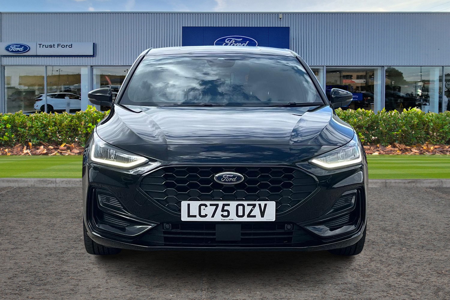 Ford Focus Photo 5