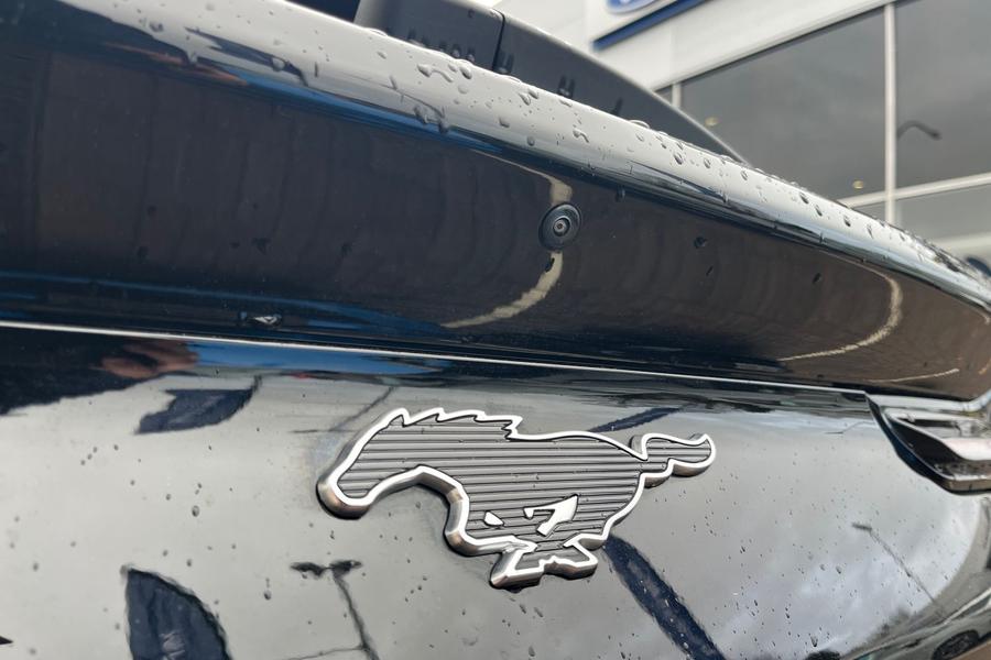 Ford Mustang Mach-E Photo autoimg-ea59cef04ae4db1a21b1d5096d5a06560f119d53.jpg