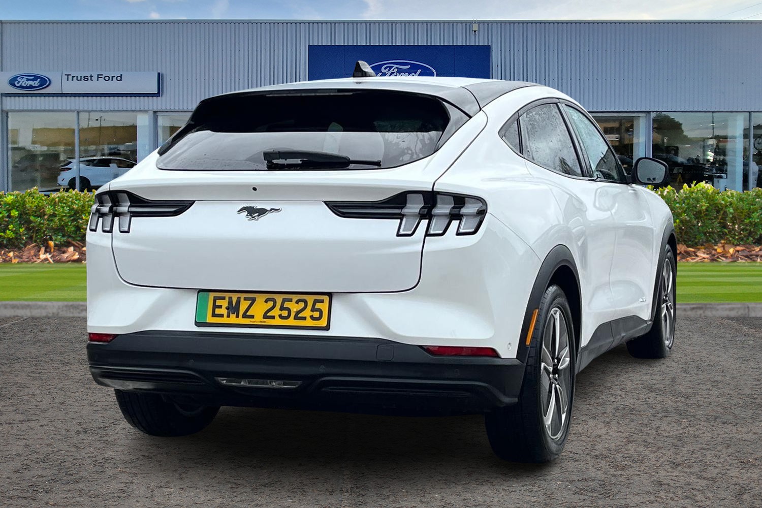 Ford MUSTANG MACH-E Photo 3
