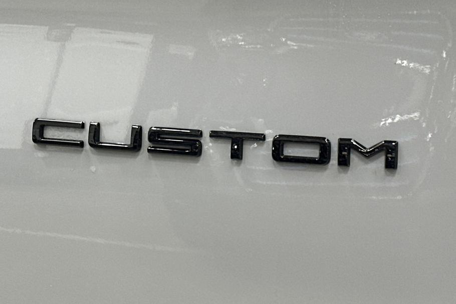 Used Ford TRANSIT CUSTOM LL75RUY 19