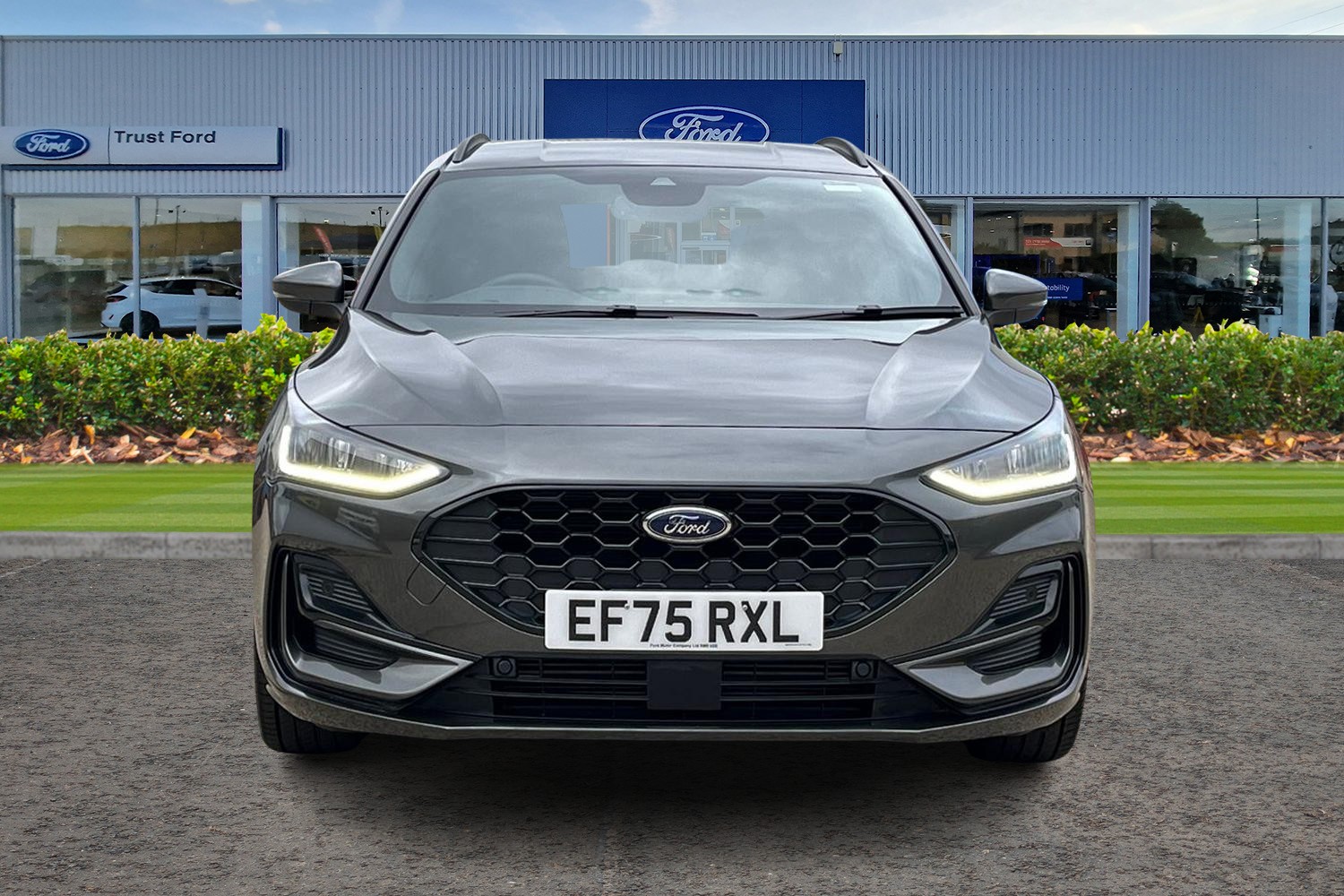 Ford Focus Photo 5