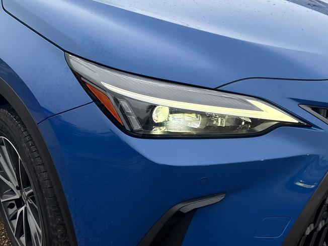 Lexus NX Photo 19