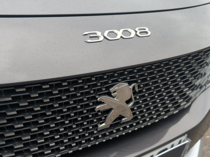 Used Peugeot 3008 LM72HCU 27