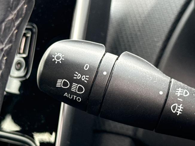 RENAULT Clio Photo 31