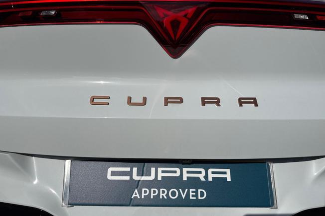 CUPRA Terramar Photo 33