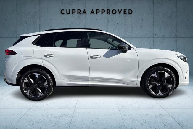 CUPRA Terramar Photo 4