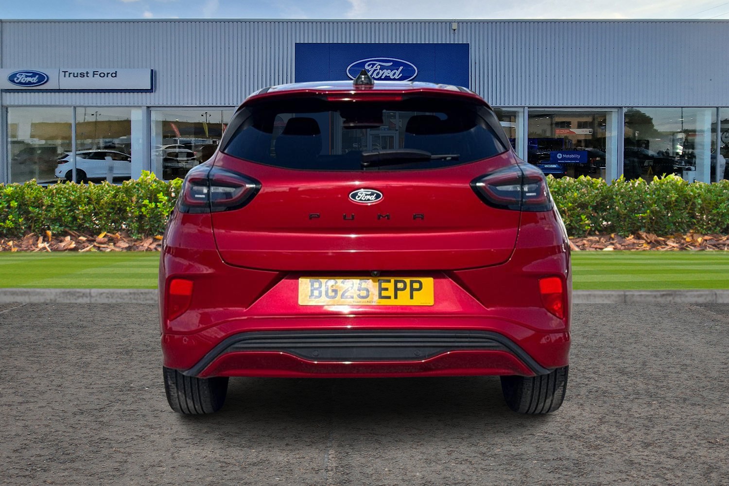 Ford PUMA Photo 6