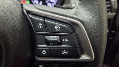 Subaru Crosstrek Photo 19