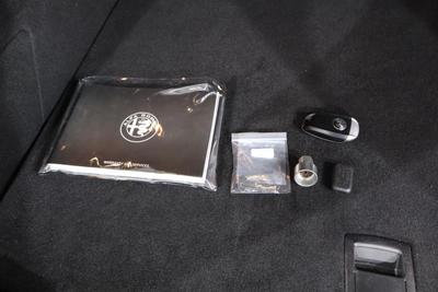 Alfa Romeo Tonale Photo 12
