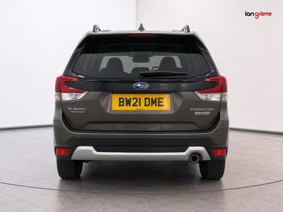 Subaru Forester Photo 6
