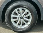 Kia Sportage Photo 11