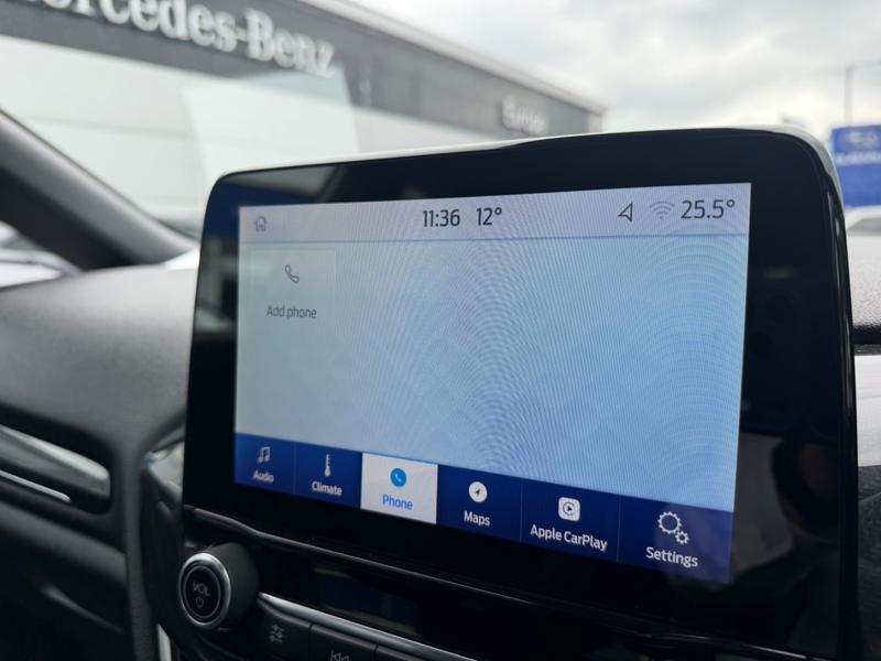 Used Ford Fiesta YS69AVJ 41