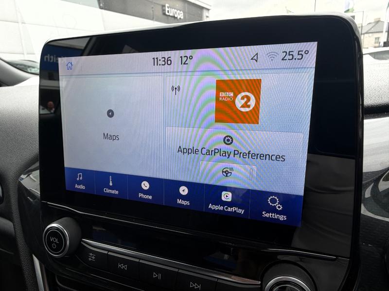 Used Ford Fiesta YS69AVJ 38