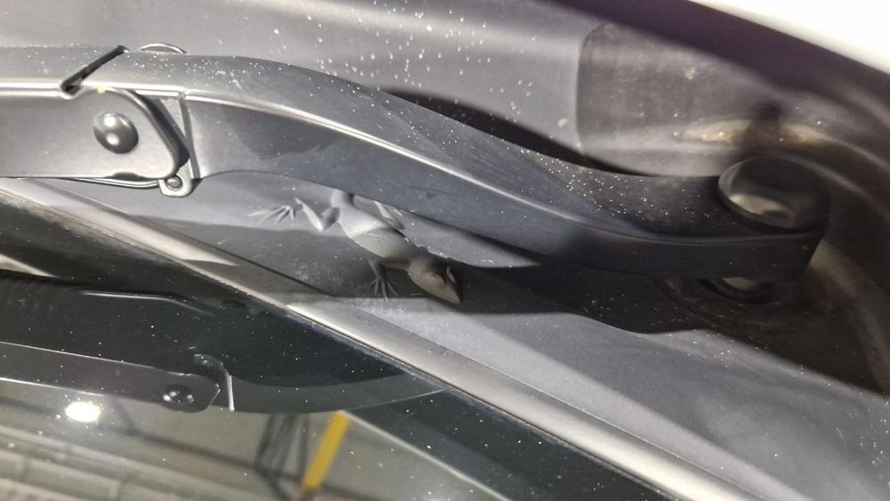 Jeep Compass Photo autoweb-d75a17a302abc0c465b8c343afb10e0888f6553e.jpg