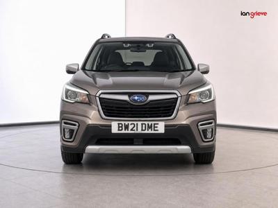 Subaru Forester Photo 1