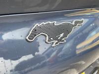Ford Mustang Mach-E Photo 8